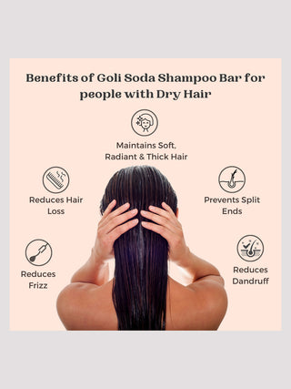 Goli Soda All Natural Probiotics Shampoo Bar for Dry Hair Pack  Of Two Goli Soda