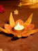 Orange Petal & Yellow Leaf