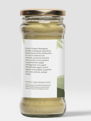 Wheatgrass Powder Superfood for Immunity & Detox Ecotyl