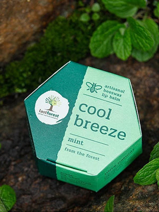 Cool Breeze Mint Lip Balm Last Forest