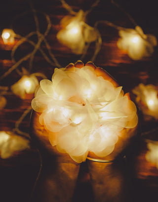 Handmade LED String Lights Lilac Rose Samoolam