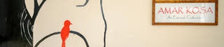 Amar Kosa