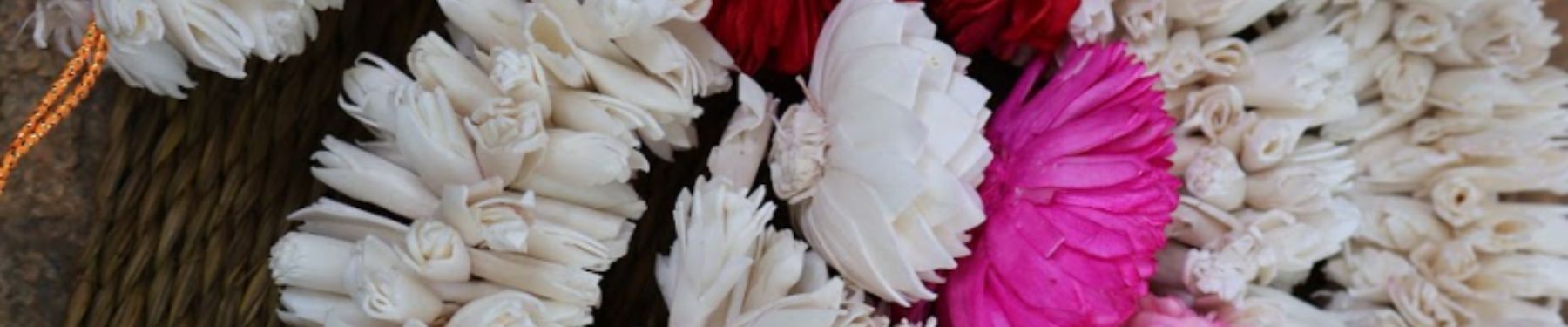 Laxminarayan Shola Dry Flower