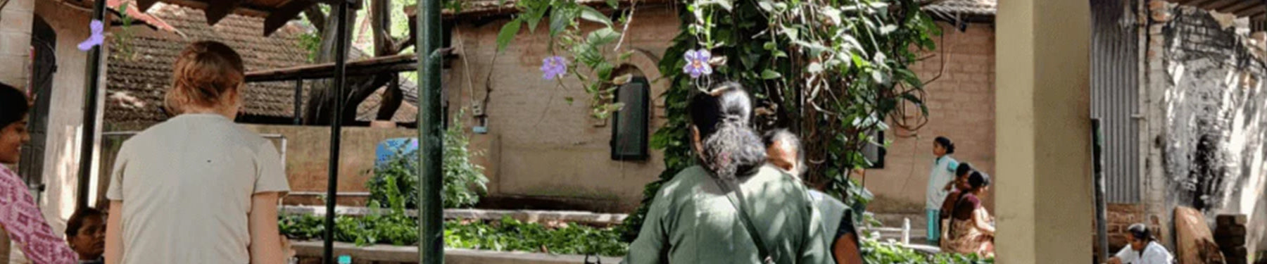 Naturealey Nature Alley – Flourish