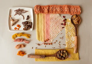 Color Stories Flourish