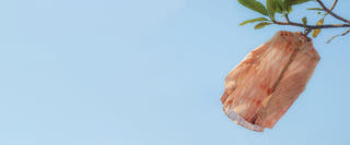 Shibori Flourish