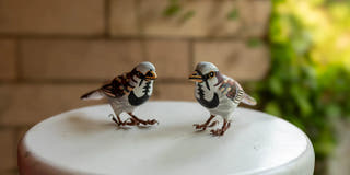 Trilok Thakur Paper Mache Birds