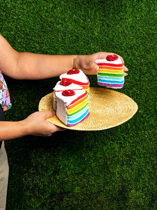 Rainbow Cake in a Basket Narasapur Producer Transform Pvt. Ltd.