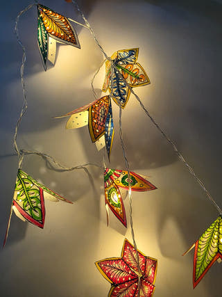 Flowers Fairy Lights Tholu Bommalata