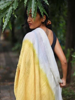 Sunehri Mul Cotton Saree Studio Itiha