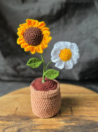 Crochet Sunshine Pot
