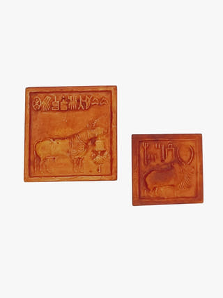 Fridge Magnets Set of 2