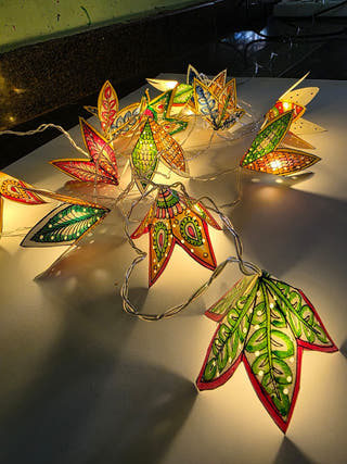 Flowers Fairy Lights Tholu Bommalata