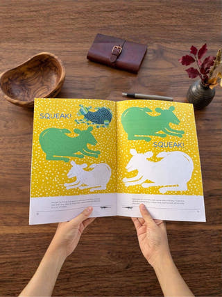 Bhichitra Colouring Book