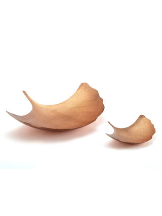 Copper Ginkgo Leaf Platter