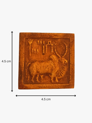 Fridge Magnets Set of 5