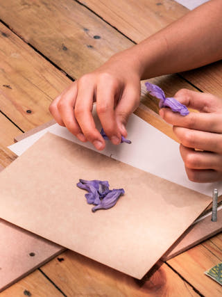 Dried Press Flower