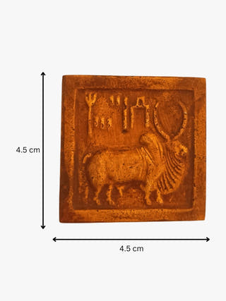 Fridge Magnets Set of 2