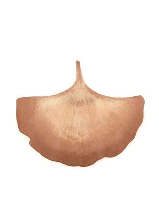 Ginkgo Leaf Platter | Set of 2