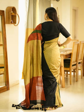 Rainbow Raga Multicolour Saga Cotton Saree