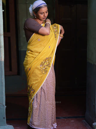 Charulata Saree