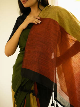 Rainbow Raga Multicolour Saga Cotton Saree