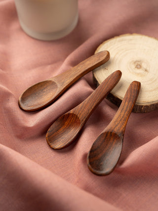 Spice Spoons Set of Six Irida Naturals