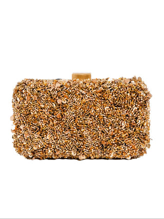 Gleaming Evening Clutch