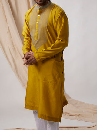 Mustard Yellow Sujani embroidered Kurta Bihart