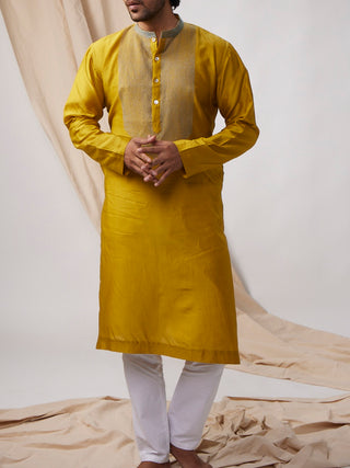 Mustard Yellow Sujani embroidered Kurta Bihart