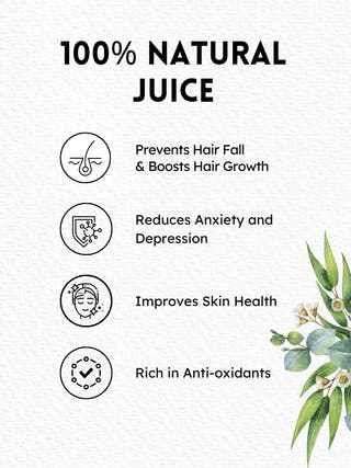 Butterfly Pea Concentrate