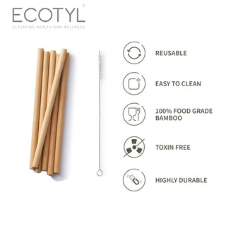 Bamboo Straws with Cleaning Brush Set of 6 Reusable Straws Ecotyl