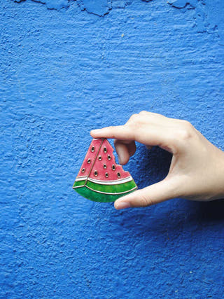 What a Melon Fridge Magnets