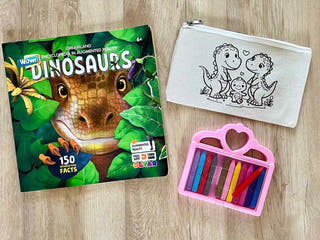DIY Colouring Dinosaur Family Pouch Little Canvas