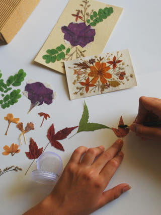 Dried Press Flower