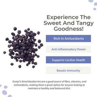 Dried Blueberries Whole Dried Fruit Healthy Snack Ecotyl