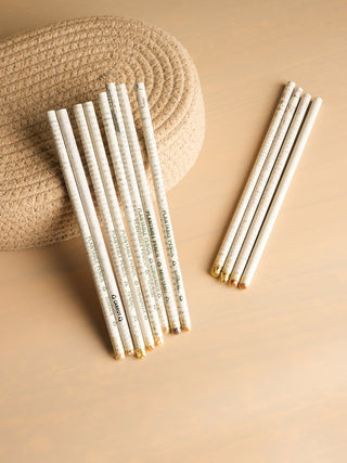 Plantable Seed Pencils | Stationary | Set of 3 Ecokari