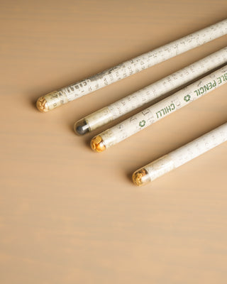 Plantable Seed Pencils | Stationary | Set of 5 Ecokari