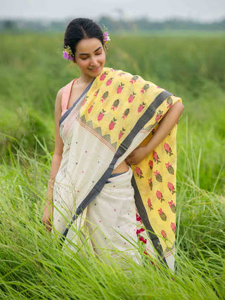 Fish Fish Saree