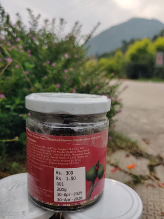 Fegadi (Wild Figs) Pickle
