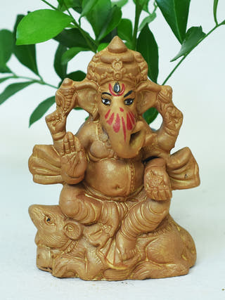 Little Ganesh Puja Kit