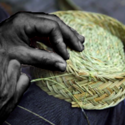 Grass Basketry