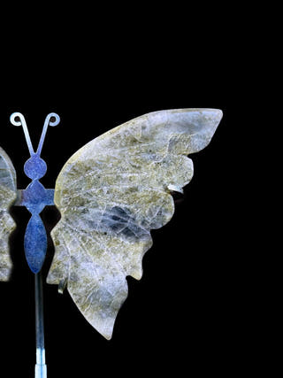 Labradorite Butterfly – Magic & Intuition