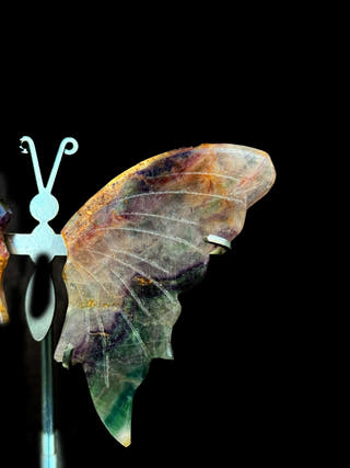 Multicolor Fluorite Butterfly – Clarity & Emotional Flow