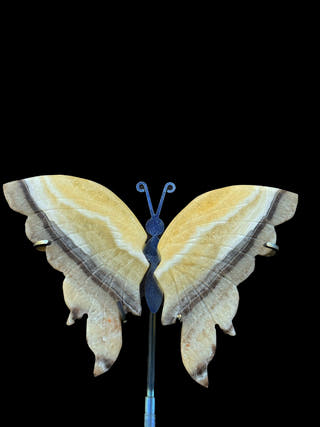 White Onyx Butterfly – Purity & Calm