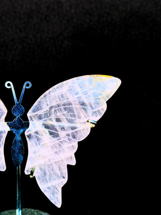 Rose Quartz Butterfly – Love & Softness