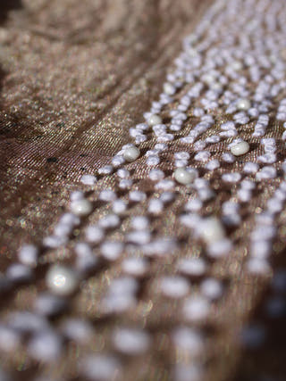 Zari Chanderi Padmavat Saree Pink BAGEEYA