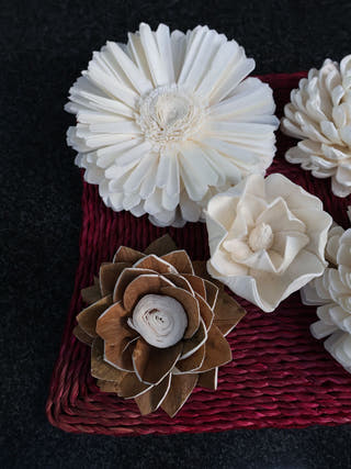 Multi Design Flowers | Set of 5