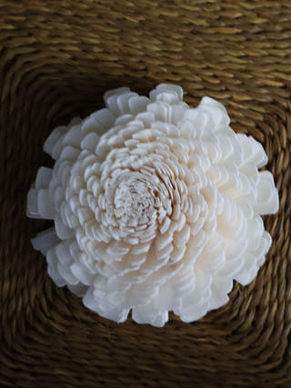 Multi Design Flowers | Set of 5