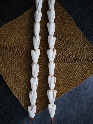 Shola Multi-design Flowers Set